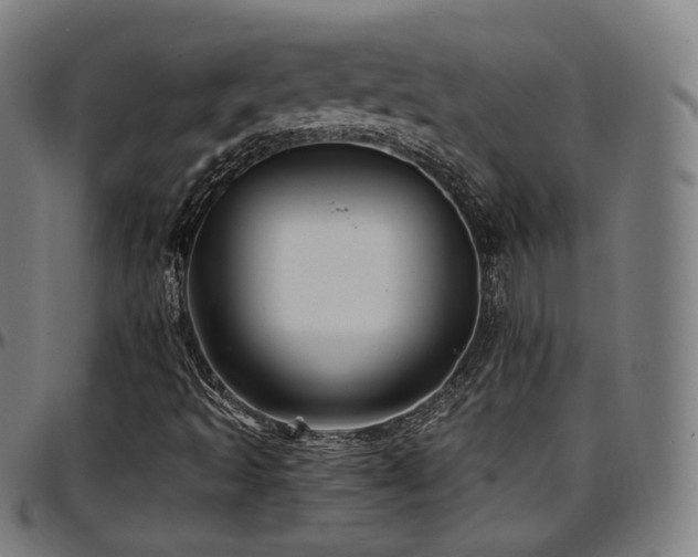 X0000097631493200802291327