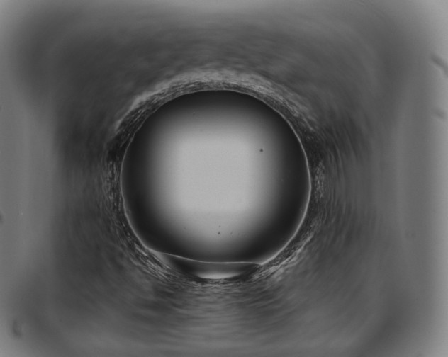 X0000097631494200802291327