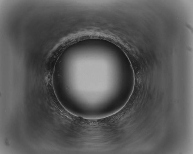 X0000097631495200802291327