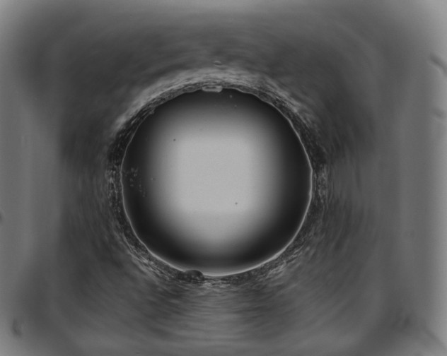 X0000097631496200802291327