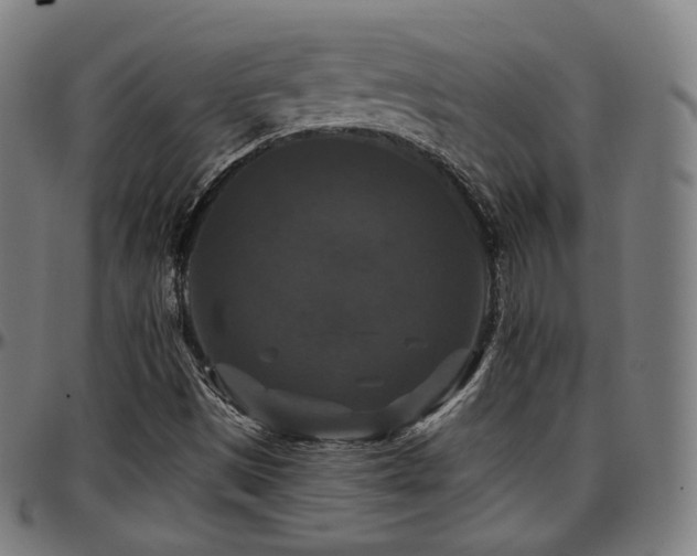 X0000097631497200802291327