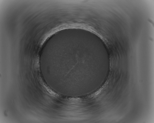 X0000097631498200802291327