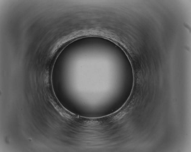 X0000097631499200802291327
