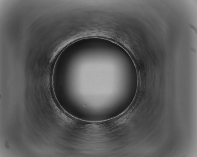 X0000097631500200802291327