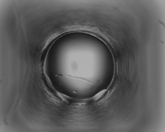 X0000097631501200802291327