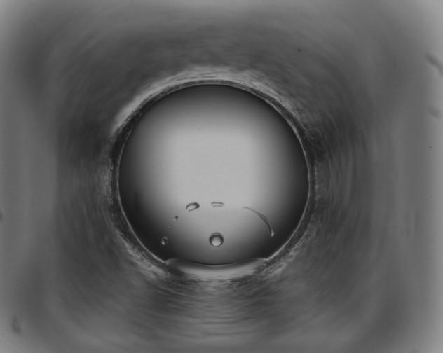 X0000097631502200802291327