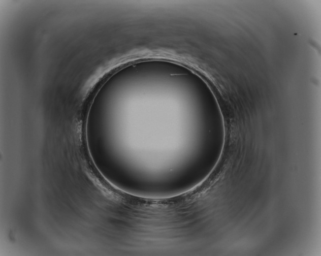 X0000097631503200802291327
