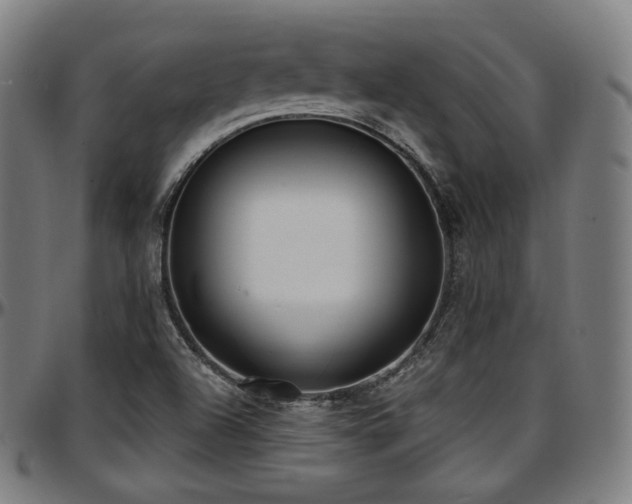X0000097631504200802291327