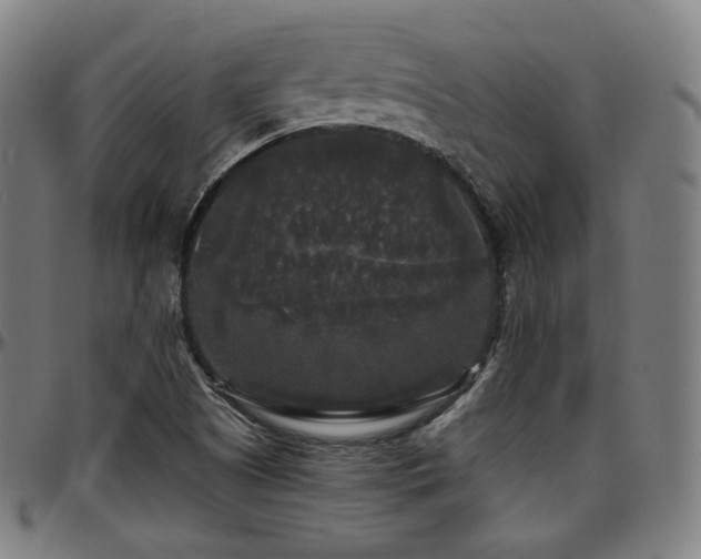 X0000097631505200802291327