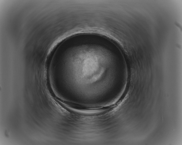 X0000097631506200802291327