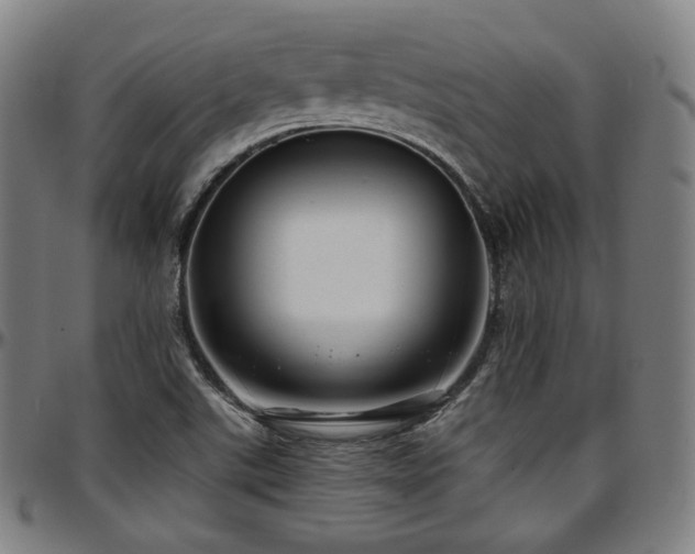 X0000097631507200802291327