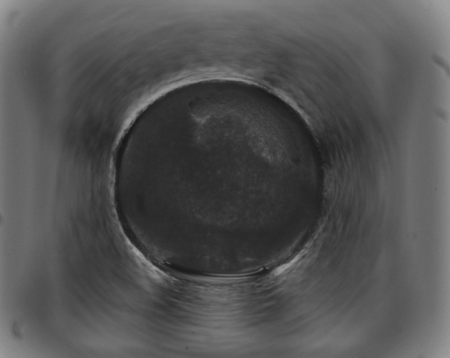 X0000097631508200802291327