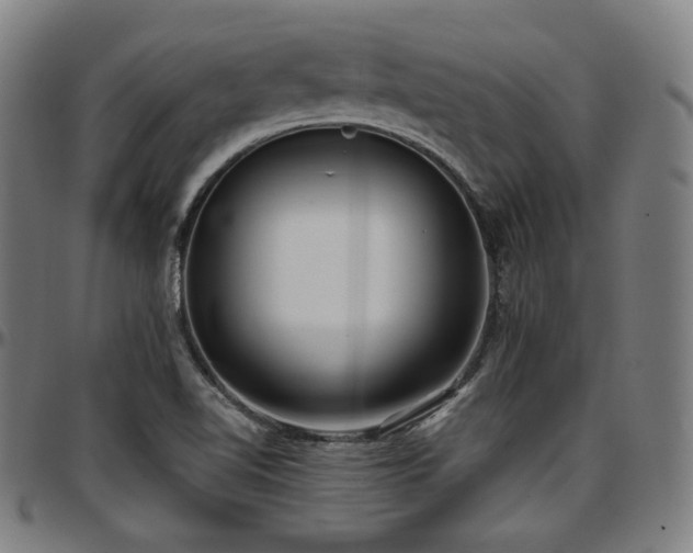 X0000097631510200802291327