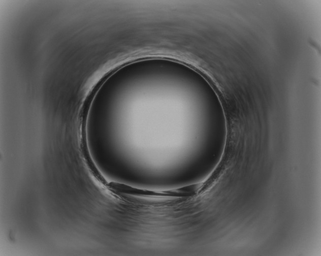 X0000097631511200802291327