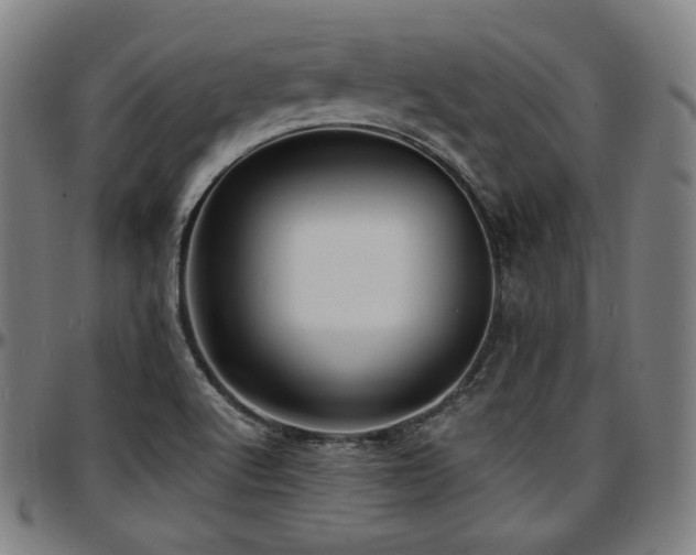 X0000097631512200802291328