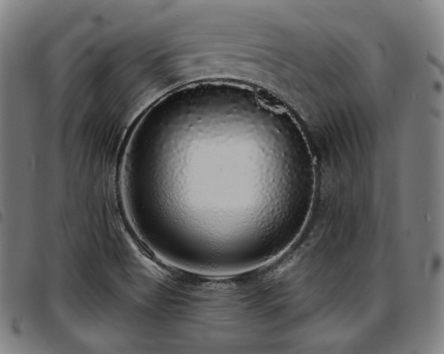 X0000097631513200802291328