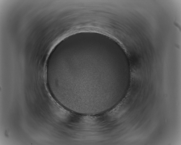 X0000097631514200802291328