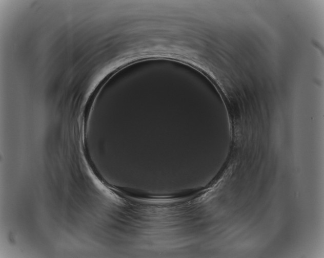 X0000097631515200802291328