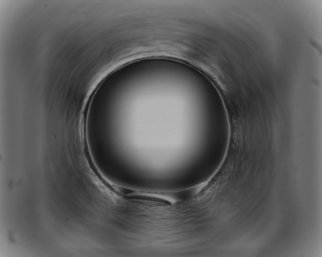 X0000097631516200802291328