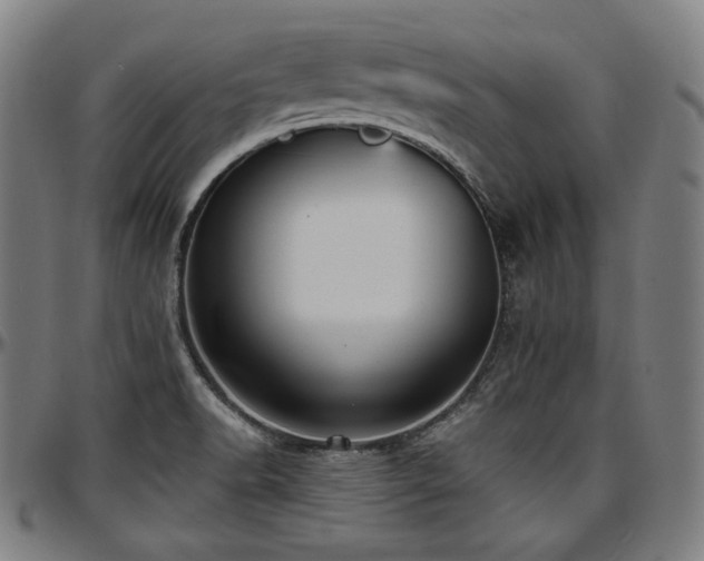 X0000097631518200802291328