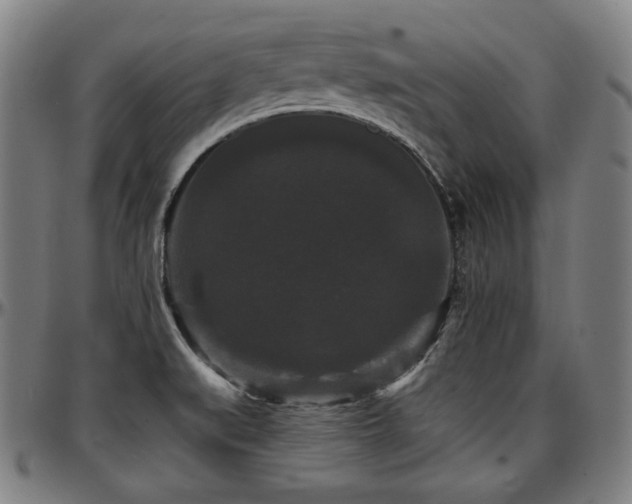 X0000097631519200802291328