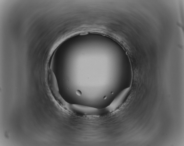 X0000097631520200802291328