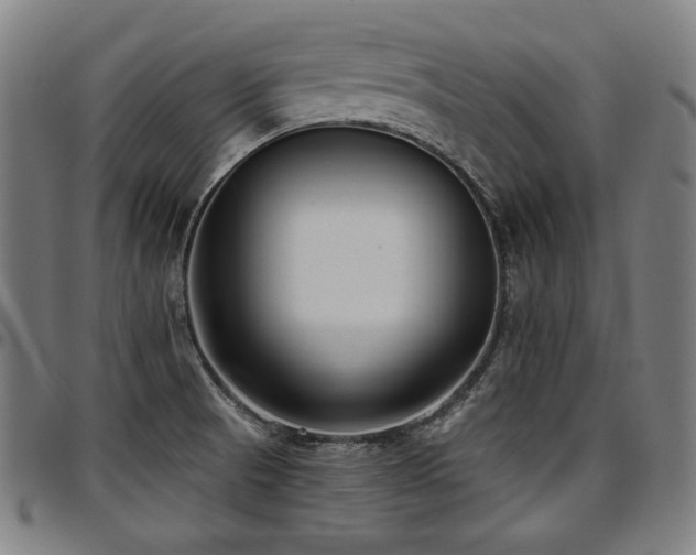 X0000097631521200802291328