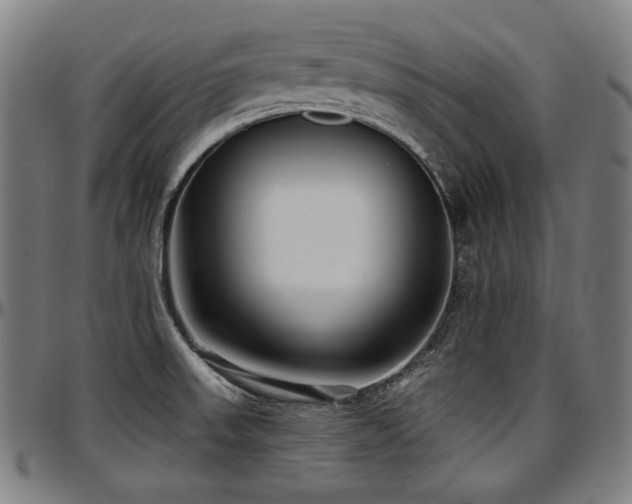 X0000097631523200802291328