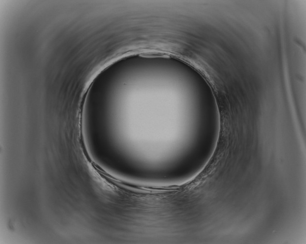 X0000097631524200802291328