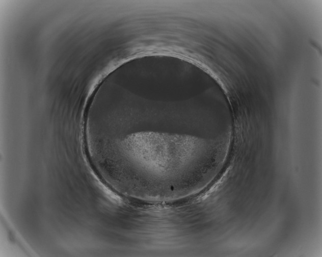 X0000097631525200802291328