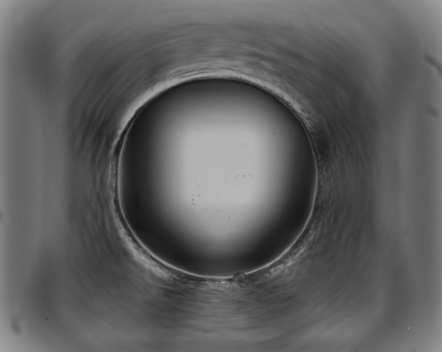 X0000097631526200802291328
