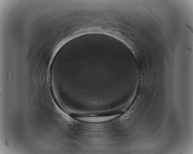 X0000097631527200802291328