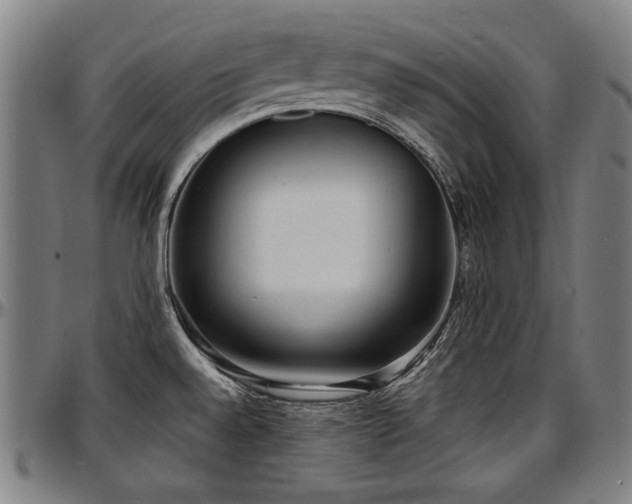 X0000097631528200802291328