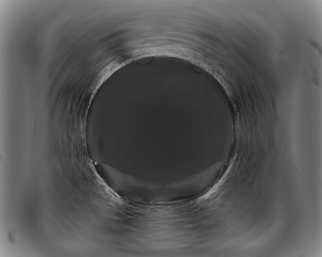 X0000097631529200802291328