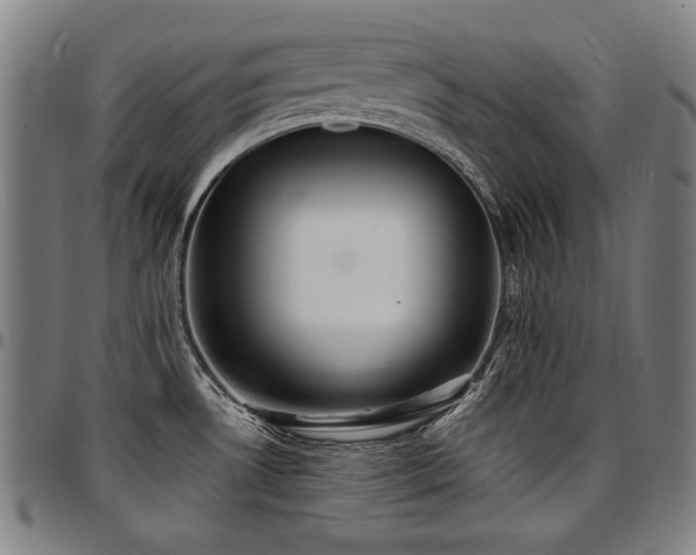 X0000097631530200802291328