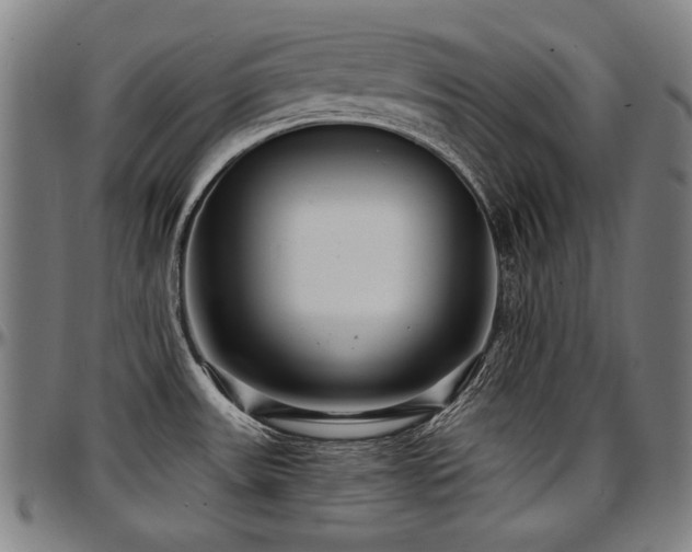 X0000097631531200802291328