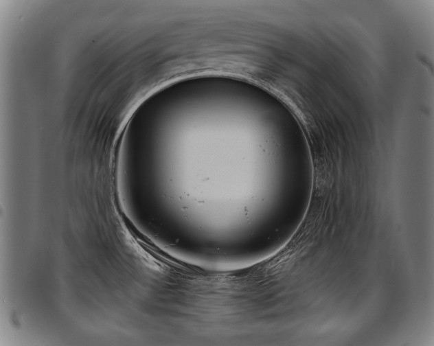 X0000097631532200802291328