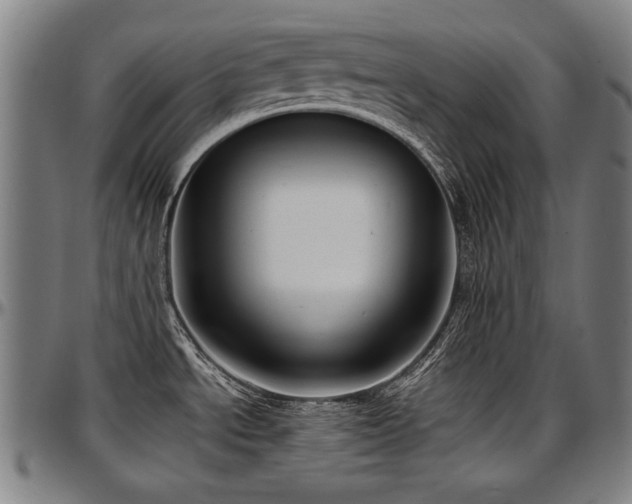 X0000097631534200802291328