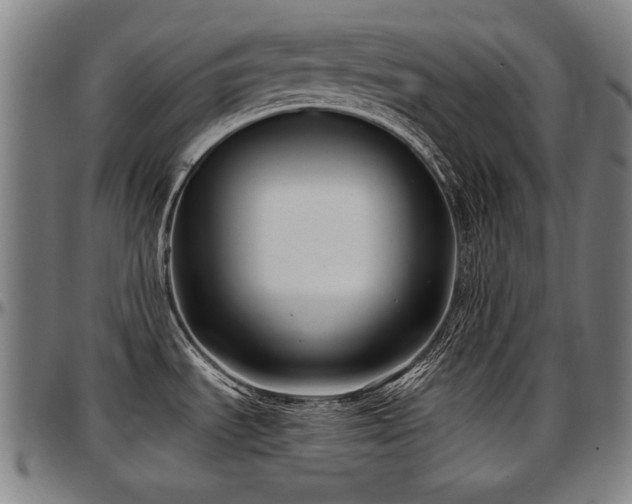 X0000097631535200802291328