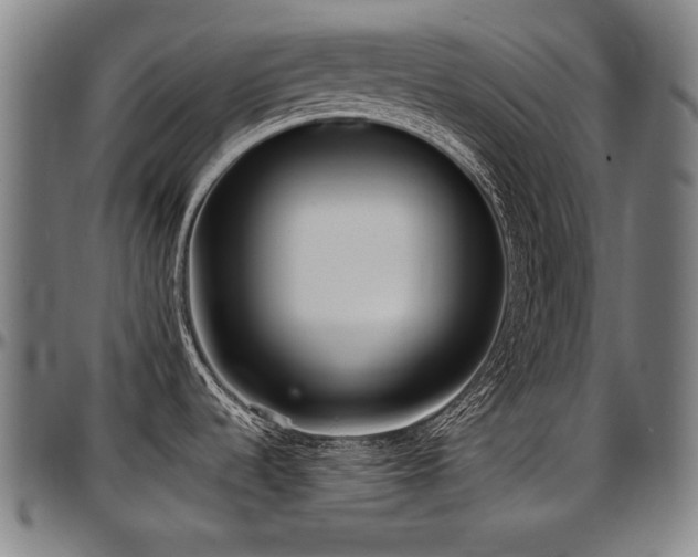 X0000097631536200802291328