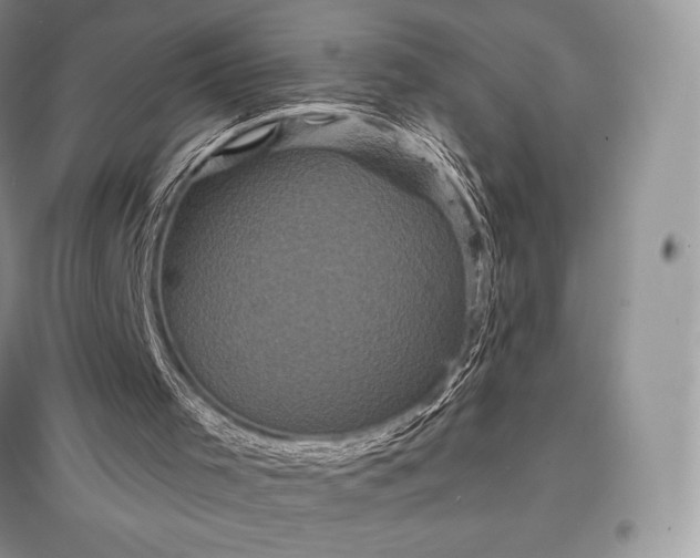 X0000097630001200803071541