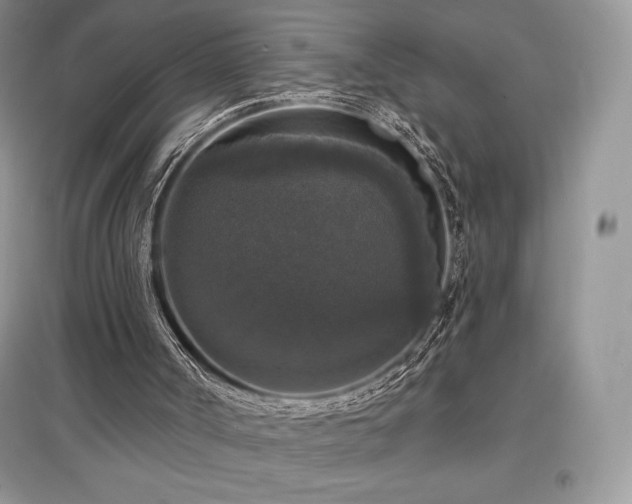 X0000097630002200803071541