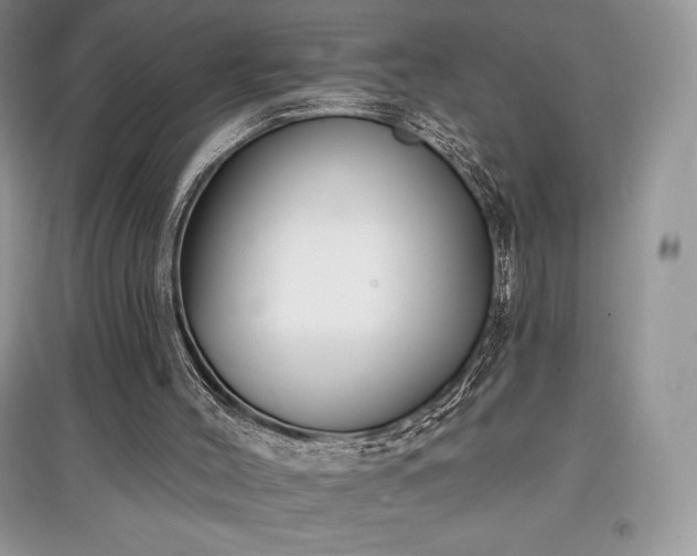 X0000097630004200803071541