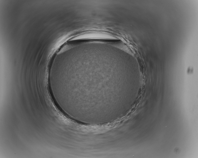 X0000097630005200803071541