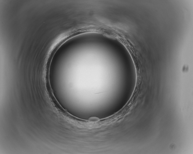 X0000097630006200803071541