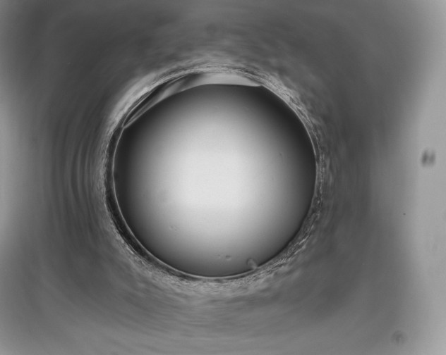 X0000097630007200803071541