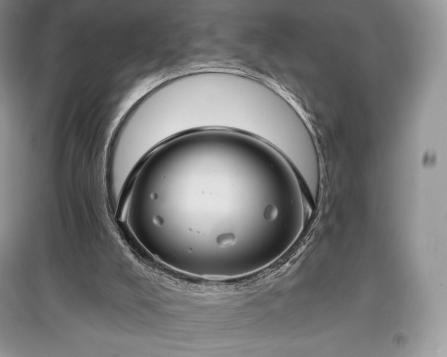 X0000097630008200803071541