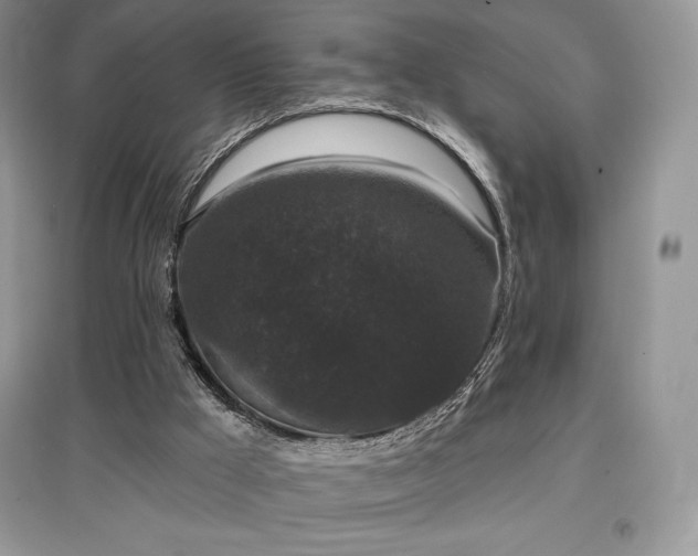 X0000097630009200803071541