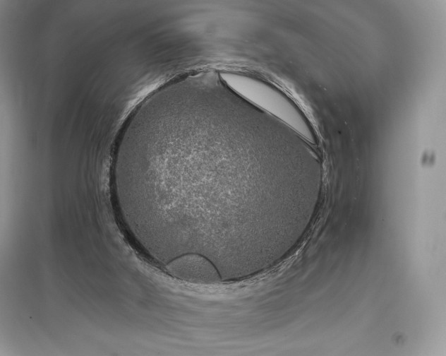 X0000097630010200803071541