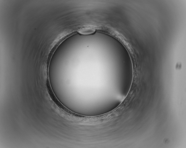 X0000097630011200803071541